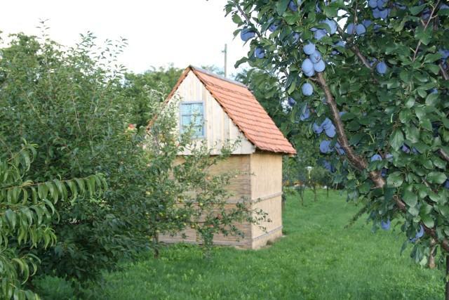 Seoski Turiziam Larva Trenkovo Buitenkant foto
