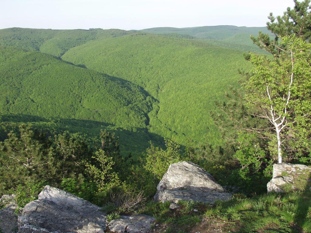Seoski Turiziam Larva Trenkovo Buitenkant foto
